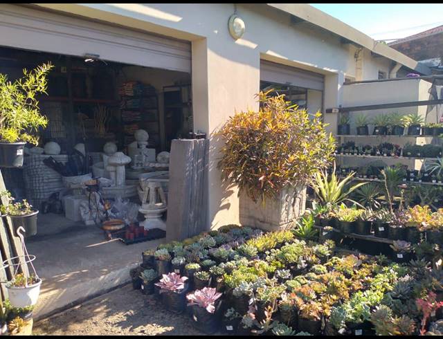 894M² BUSINESS FOR SALE IN BLUFF